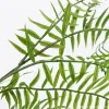 The office space is decorated with creative creative garden fern ornaments. The green plants require no maintenance and have a simple style Item Picture
